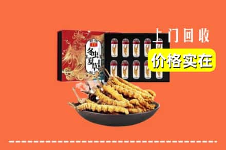 莆田仙游县回收冬虫夏草